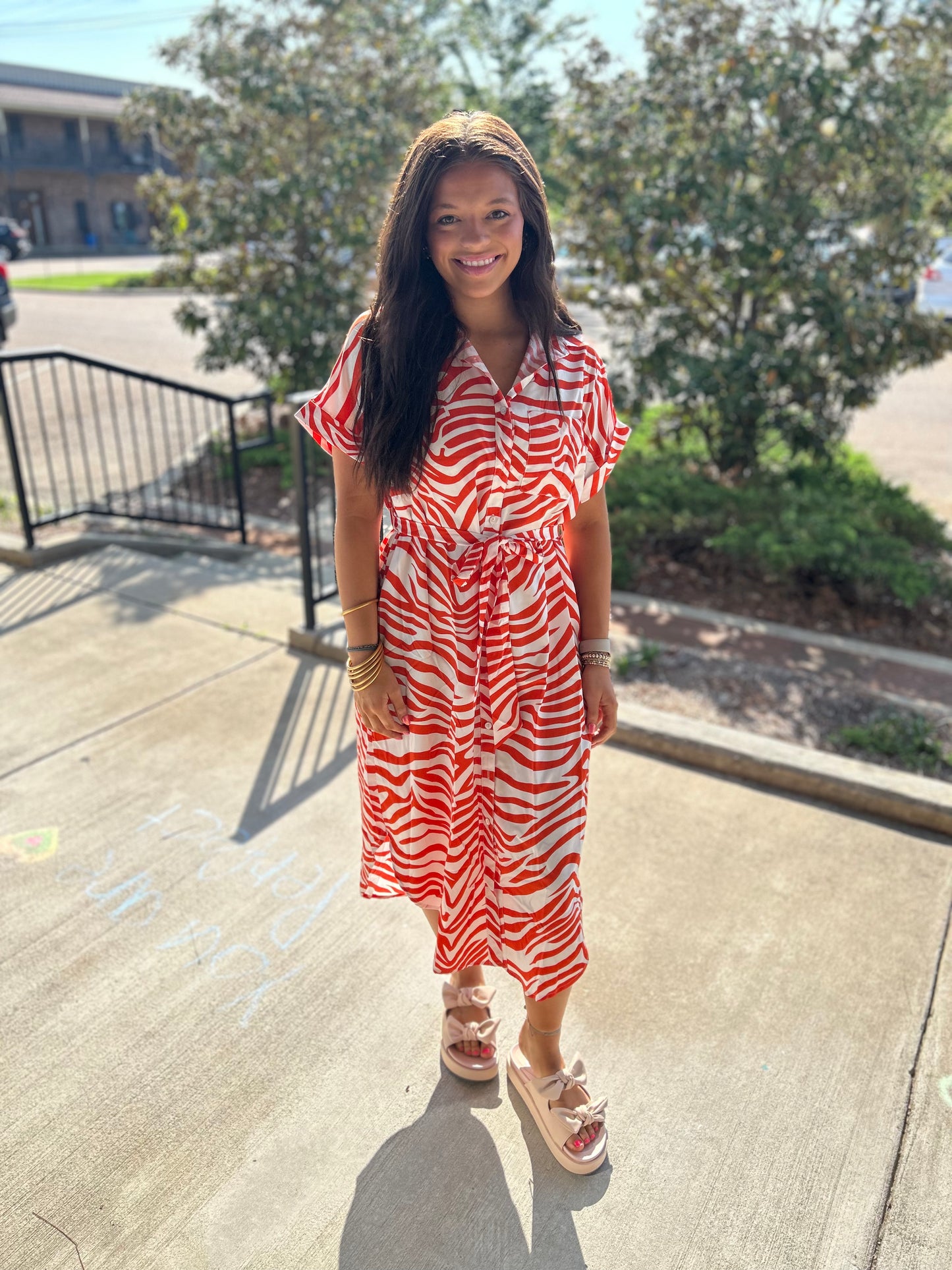 Stripes & Spice Dress