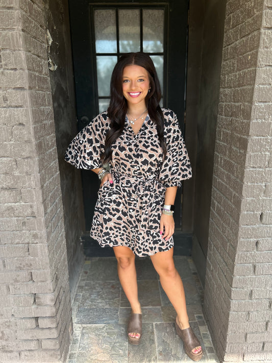 Safari Queen